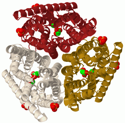 Image Biol.Unit 1 - manually