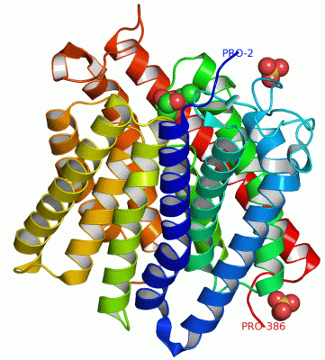 Image Asym.Unit - manually