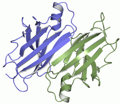 Image Asym.Unit - manually