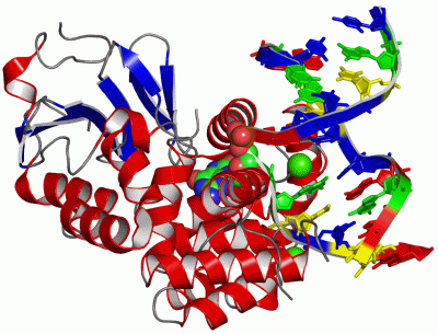 Image Asym./Biol. Unit - manually