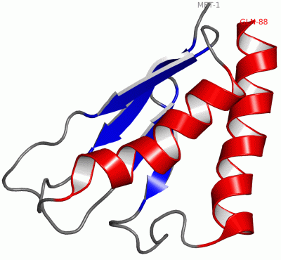 Image NMR Structure - manually