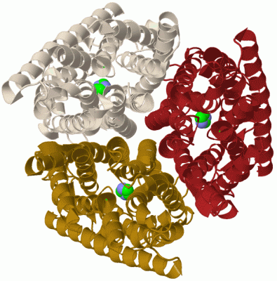 Image Biol.Unit 1 - manually
