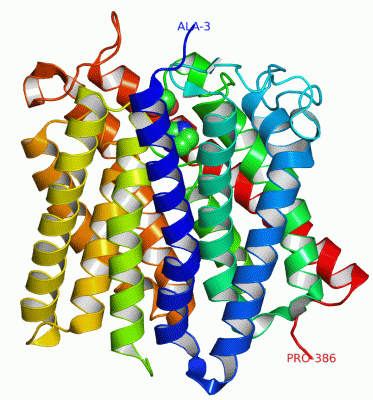 Image Asym.Unit - manually