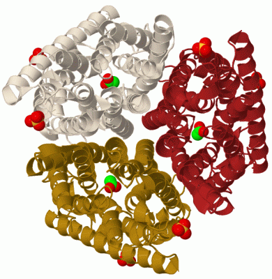 Image Biol.Unit 1 - manually