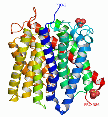 Image Asym.Unit - manually