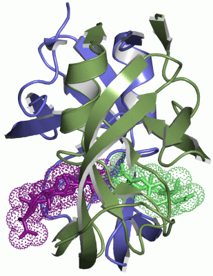 Image Asym./Biol. Unit - manually