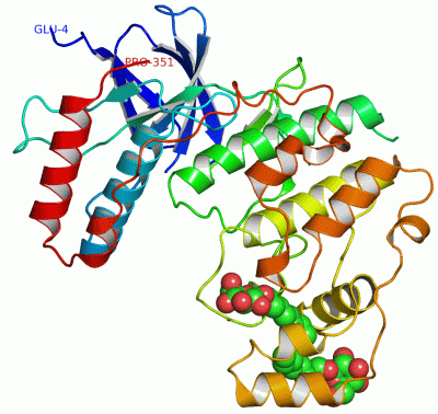 Image Asym./Biol. Unit - manually