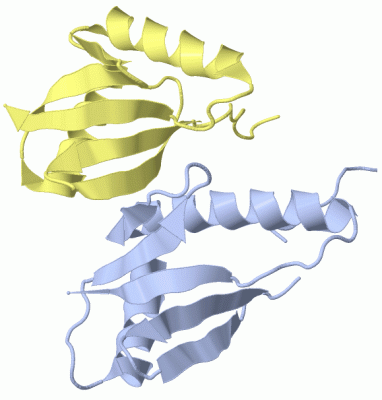 Image Biol.Unit 1 - manually