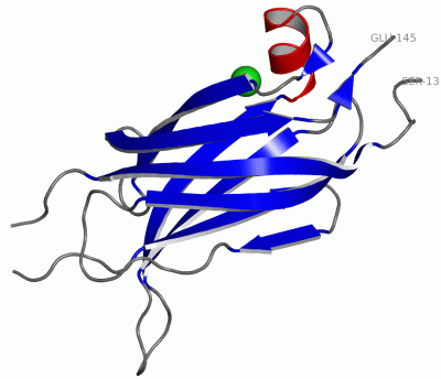 Image Asym./Biol. Unit - manually