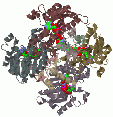 Image Biol.Unit 1 - manually