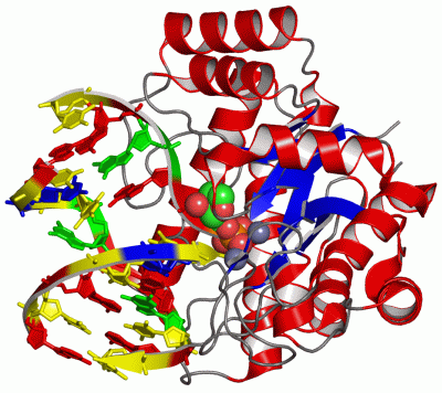 Image Asym./Biol. Unit - manually