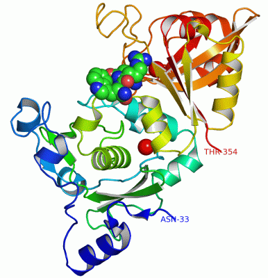 Image Asym./Biol. Unit - manually