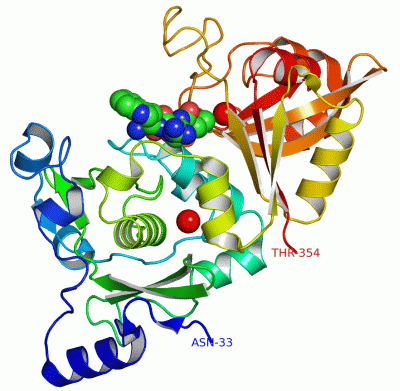 Image Asym./Biol. Unit - manually