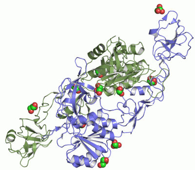 Image Asym./Biol. Unit - manually