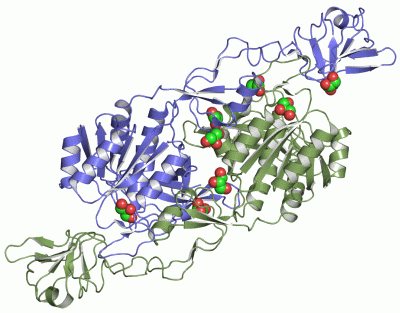 Image Asym./Biol. Unit - manually