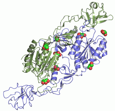 Image Asym./Biol. Unit - manually