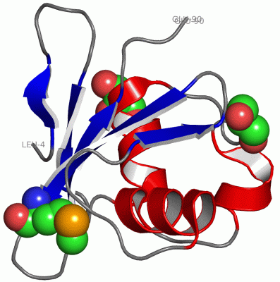 Image Asym./Biol. Unit - manually