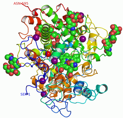 Image Asym./Biol. Unit - manually