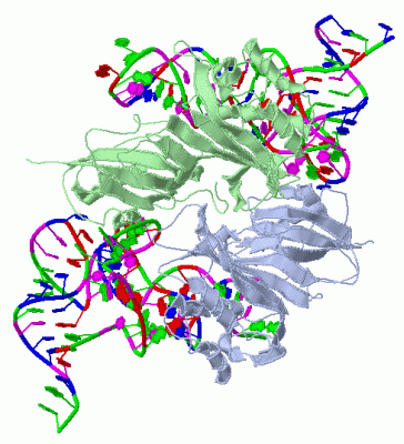 Image Biol.Unit 1 - manually