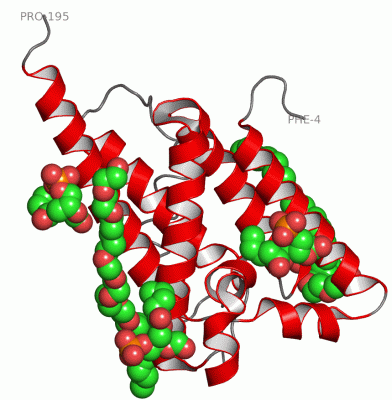 Image Asym.Unit - manually