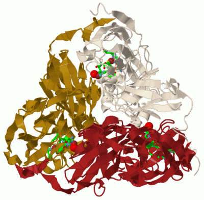 Image Biol.Unit 1 - manually