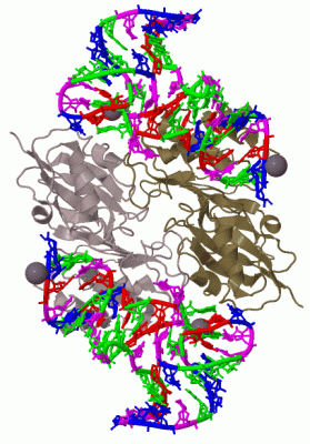 Image Biol.Unit 1 - manually