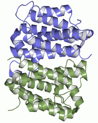 Image Asym./Biol. Unit - manually