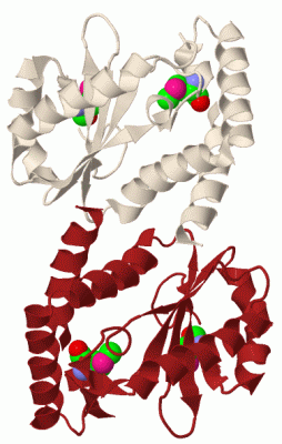 Image Biol.Unit 1 - manually