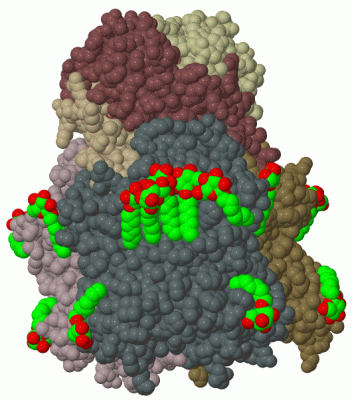 Image Biol.Unit 1 - manually