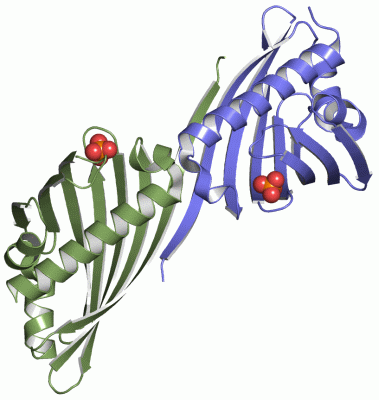 Image Asym./Biol. Unit - manually