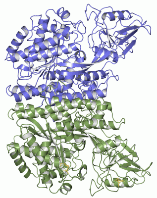 Image Asym./Biol. Unit - manually