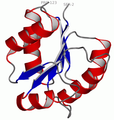 Image Asym./Biol. Unit - manually