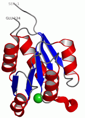 Image Asym./Biol. Unit - manually