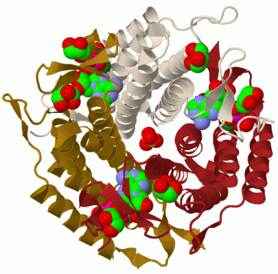 Image Biol.Unit 1 - manually