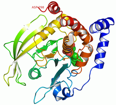 Image Asym./Biol. Unit - manually