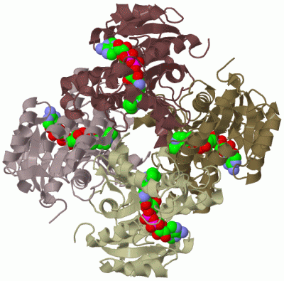 Image Biol.Unit 1 - manually