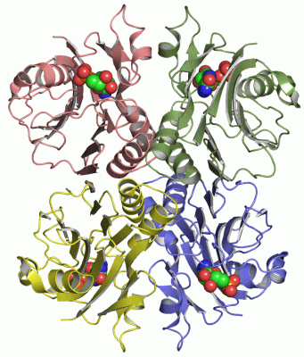 Image Asym./Biol. Unit - manually