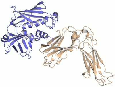 Image Asym./Biol. Unit - manually