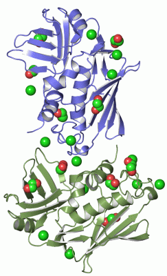 Image Asym./Biol. Unit - manually