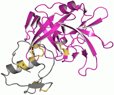 Image Asym./Biol. Unit - manually