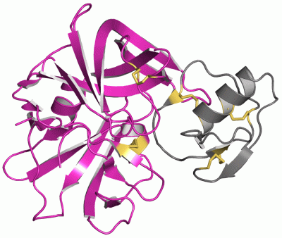 Image Asym./Biol. Unit - manually