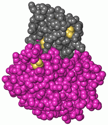 Image Asym./Biol. Unit - manually