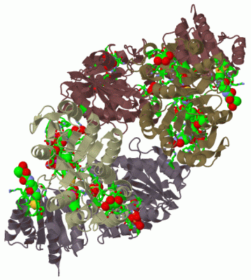 Image Biol.Unit 1 - manually