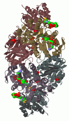 Image Biol.Unit 1 - manually