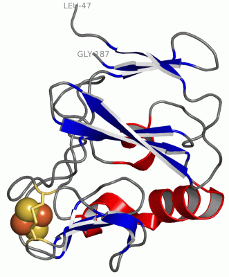 Image Asym./Biol. Unit - manually