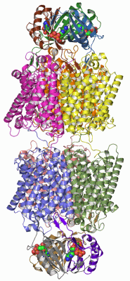 Image Asym.Unit - manually