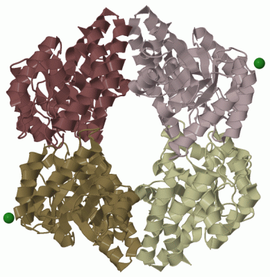 Image Biol.Unit 1 - manually