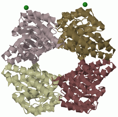 Image Biol.Unit 1 - manually