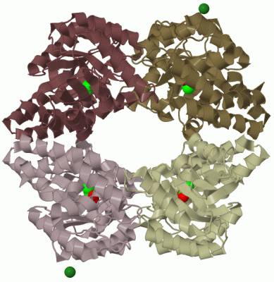 Image Biol.Unit 1 - manually