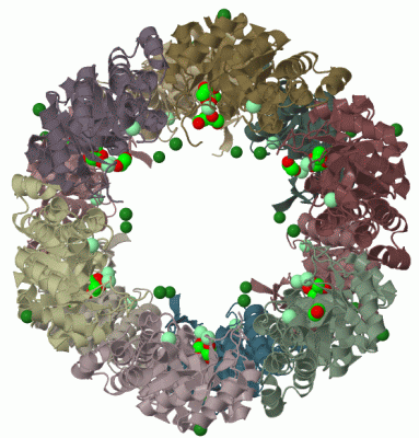 Image Biol.Unit 1 - manually